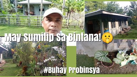 pinay na malibog|Sa Bintana Sumilip .